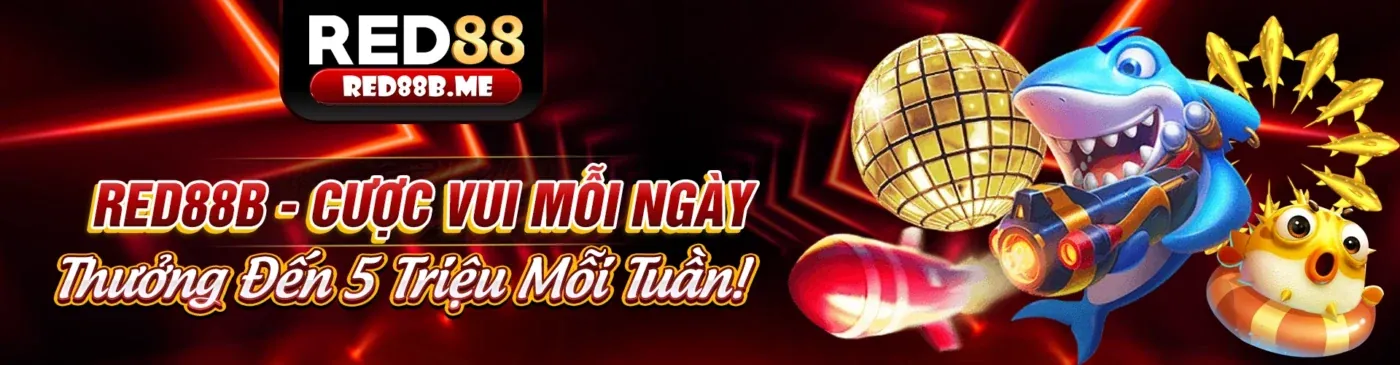 Hình ảnh giới thiệu qh8 trang chủ chính thức